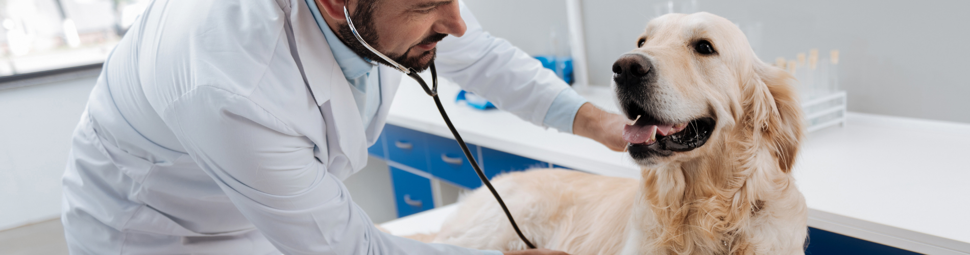 Centros de Bienestar Animal